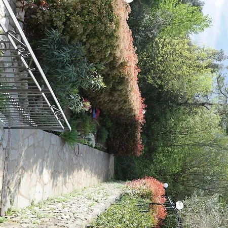 La Casa Nel Bosco *