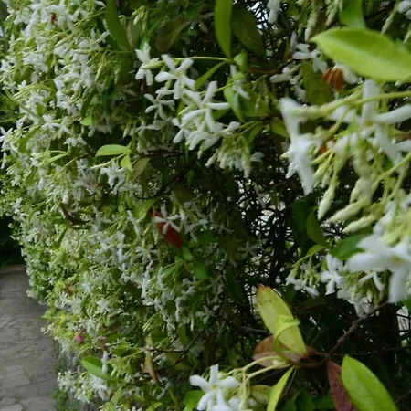 La Casa Nel Bosco Βίλα *