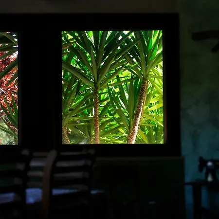La Casa Nel Bosco * Varigotti