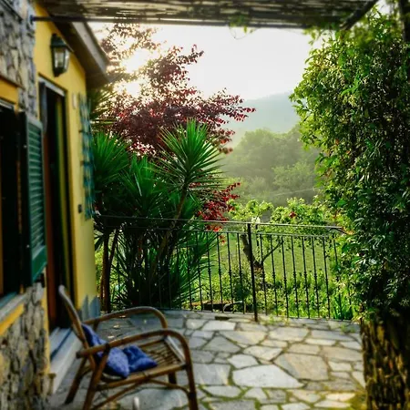 La Casa Nel Bosco *