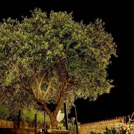 Βίλα La Casa Nel Bosco