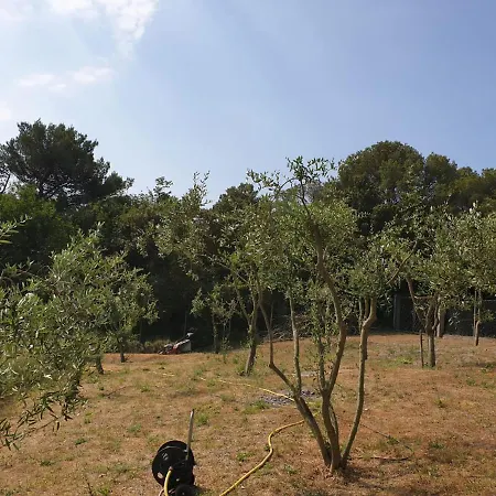 La Casa Nel Bosco Βίλα Varigotti