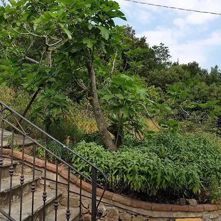 La Casa Nel Bosco Varigotti