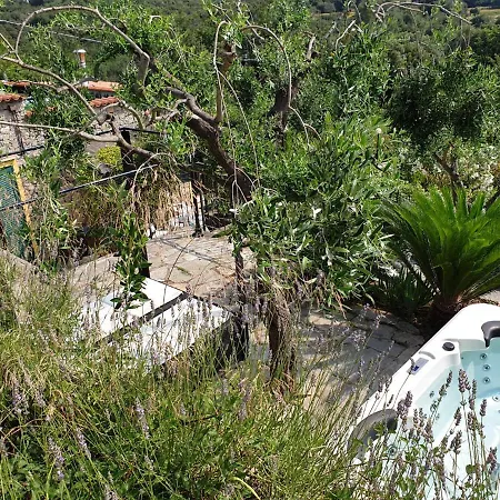 La Casa Nel Bosco *