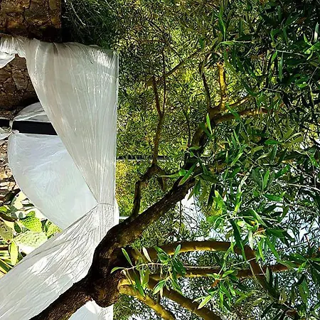 Βίλα La Casa Nel Bosco Varigotti
